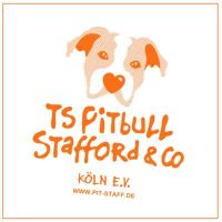 TS Pitbull, Stafford & Co e.V. Köln